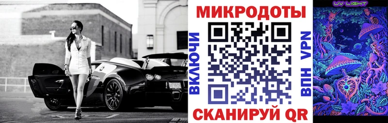 Галлюциногенные грибы Psilocybe  Алейск 